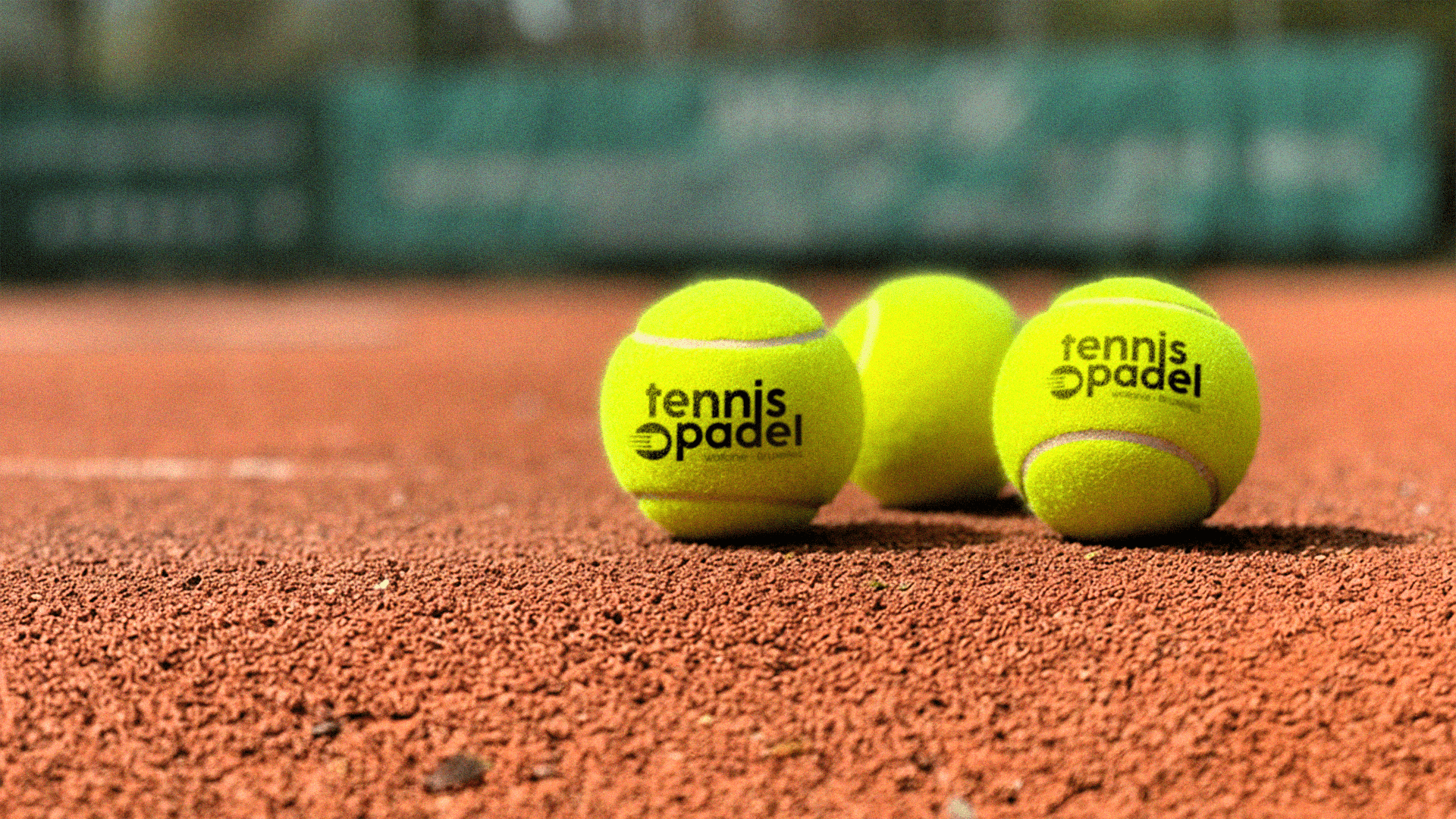 Tennis Padel Wallonie Bruxelles — image 5